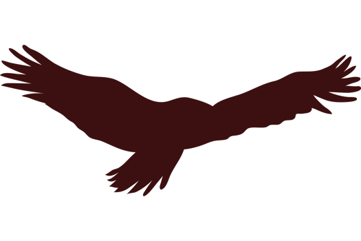 A bird flying in the air with its wings spread png