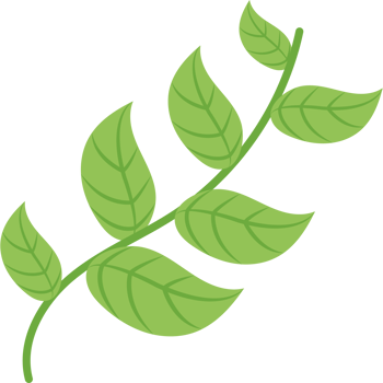 A green leaf on a black background png