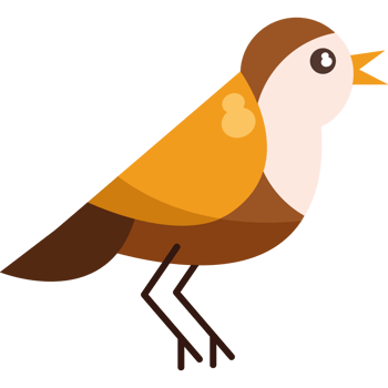 A brown and white bird with a black background png