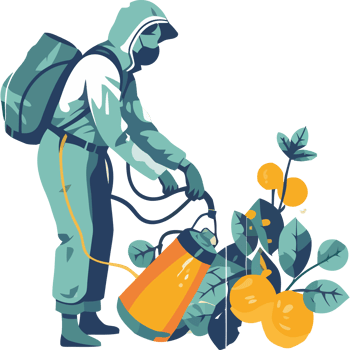 A man in a protective suit spraying oranges with a sprayer png