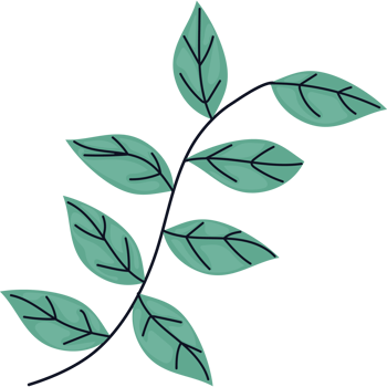 A green leaf with a black background png