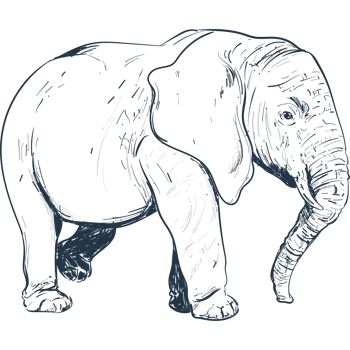 An elephant is shown in a black and white drawing png