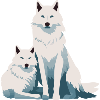 Two white wolfs sitting together on a black background png