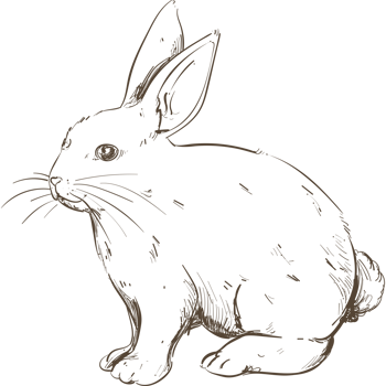 A black and white drawing of a rabbit png
