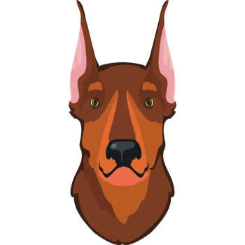 A doberman dog head on a black background png