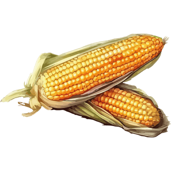 Corn on the cob png