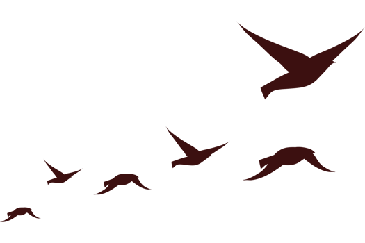 A flock of birds flying in the air png