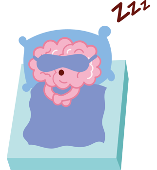 A cartoon brain sleeping in bed with a blue pillow png