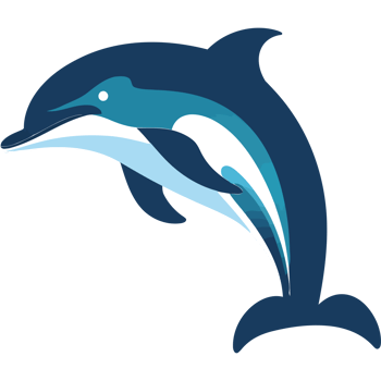 Dolphin clipart dolphin clipart dolphin clipart dolphin clipart dolphin clipart dolphin clipart png