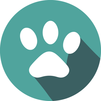 A dog paw icon on a turquoise background png