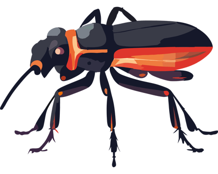 An insect with orange and black stripes png