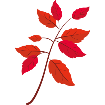A red leaf on a black background png