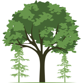 Tree clip art free download png