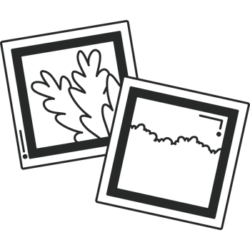 Two black and white pictures of a leaf and a tree png