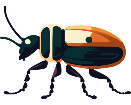 An insect with a black and orange body png