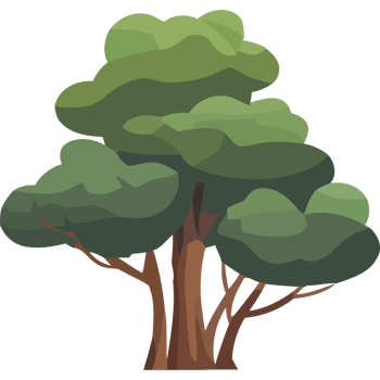 Tree clip art transparent png