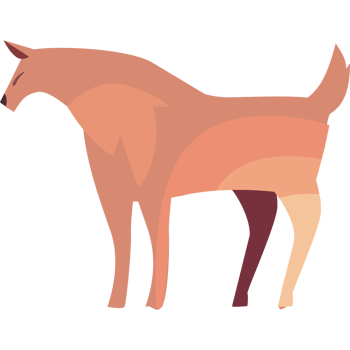 A cartoon horse standing on a black background png