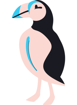Puffin bird illustration png
