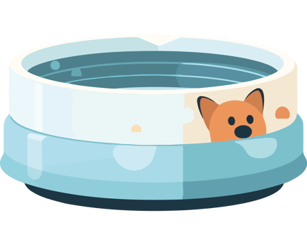 A dog is sitting in a bowl with water png