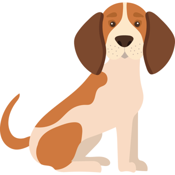 A brown and white dog sitting down png