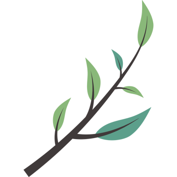 A branch with leaves on it png