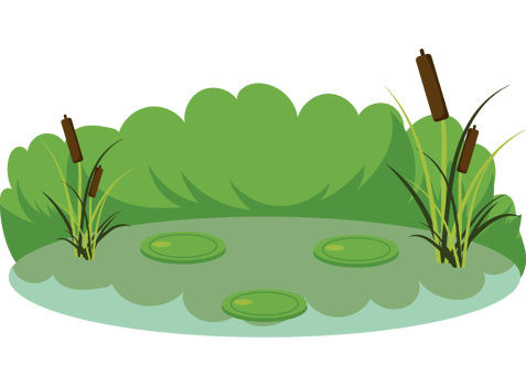 A cartoon illustration of a pond with lily pads png