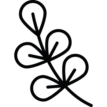 outdoor nature leafs cartoon png