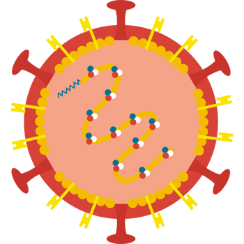 virus nipah inside icon isolated png