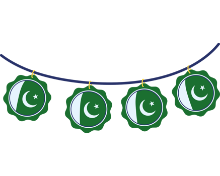 Pakistan flag icon isolated png