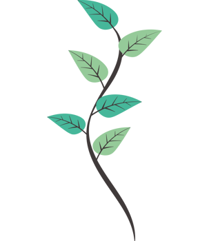 A green plant with leaves on it png
