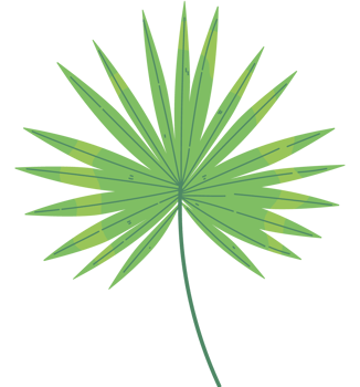 palm leaf nature element icon isolated png