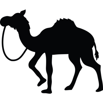 Camel silhouette illustration icon isolated png