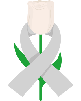 A white rose with a ribbon around it png