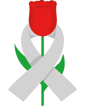 A red rose with a white ribbon and a ribbon png