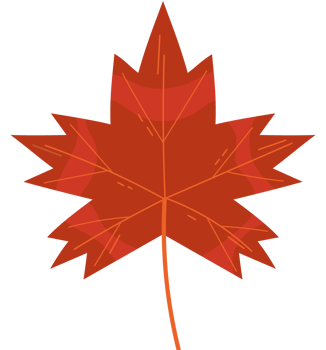 A red maple leaf illustration isolated png