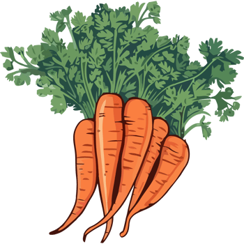 Carrots are shown in this illustration png