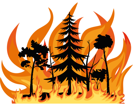 A forest fire with trees and flames png