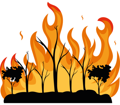 A fire with trees and grass on it png