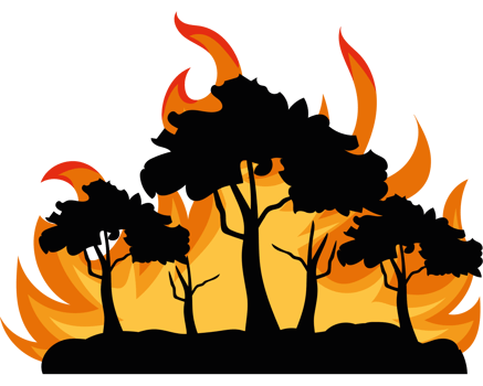 forest fires disaster environmental illustration png