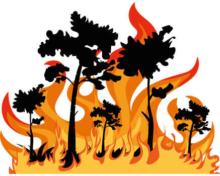 A fire with trees and flames on it png