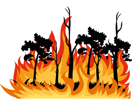 A fire with trees and grass on it png