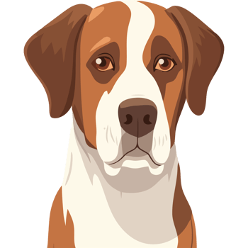 A brown and white dog with a big head png
