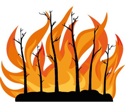 A fire with trees in the background png