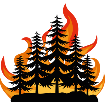 A fire with trees in the background png