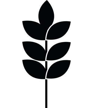 Leaf icon isolated png