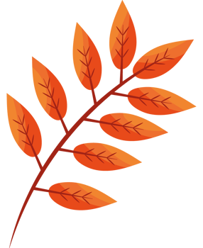 dry branch autumn icon isolated illustration png