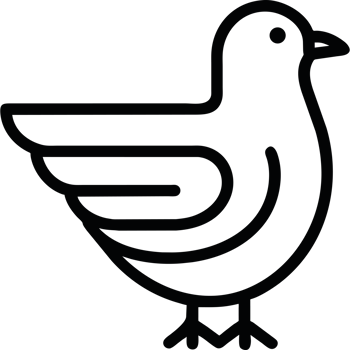 Black and white bird icon isolated png