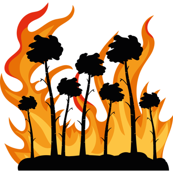 A cartoon illustration of a fire with palm trees png