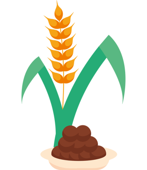 A bowl of food and a plant with a stalk png