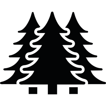 A black and white image of a tree png